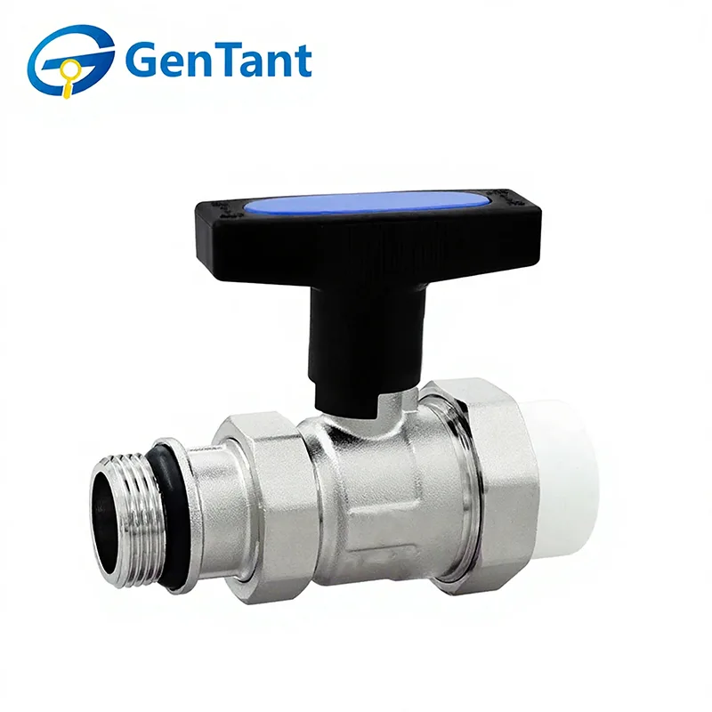 Terugslagklep met lange schacht