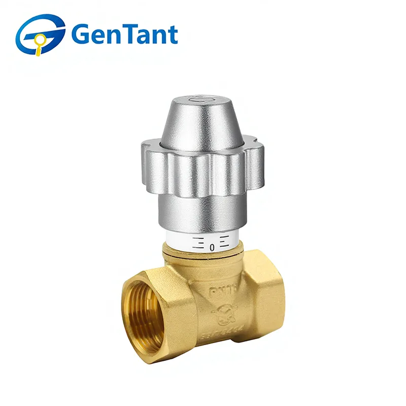 Magnetische afsluitbare flow control-bolklep